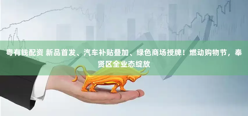 粤有钱配资 新品首发、汽车补贴叠加、绿色商场授牌！燃动购物节，奉贤区全业态绽放