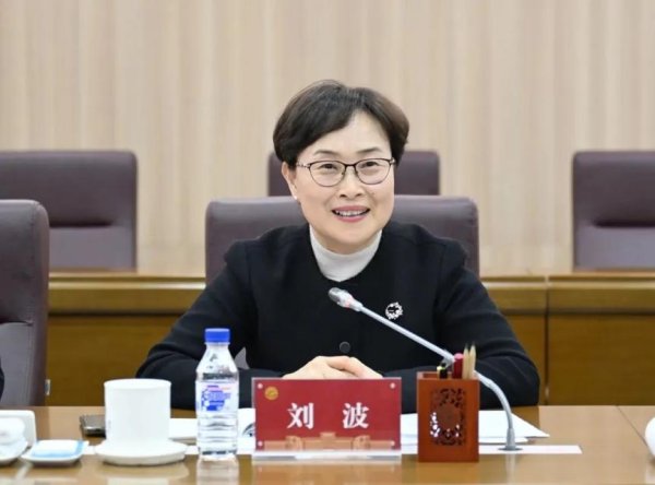 博宝配资 中央批准：刘波任副部级新职务