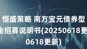 恒盛策略 南方宝元债券型基金招募说明书(20250618更新)
